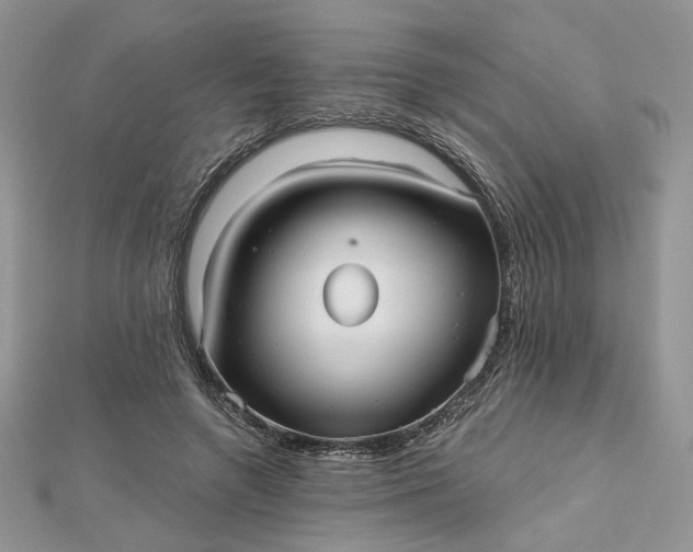 X0000112480546200908311413