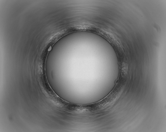 X0000112480547200908311413