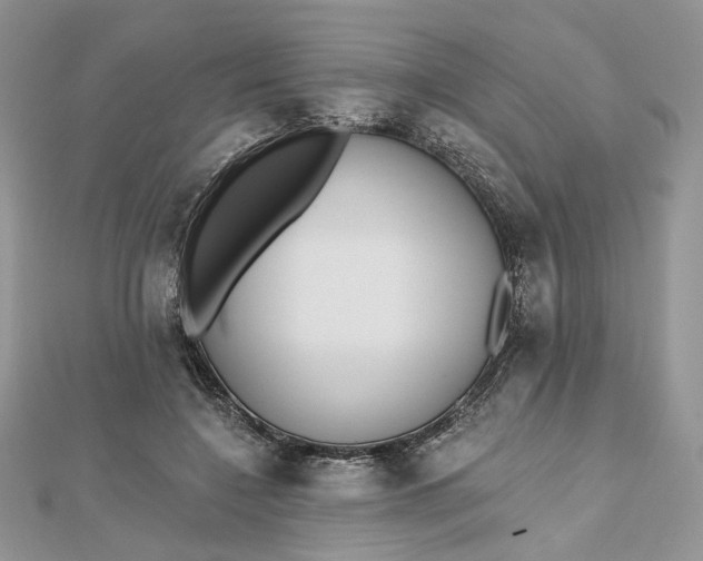 X0000112480548200908311413