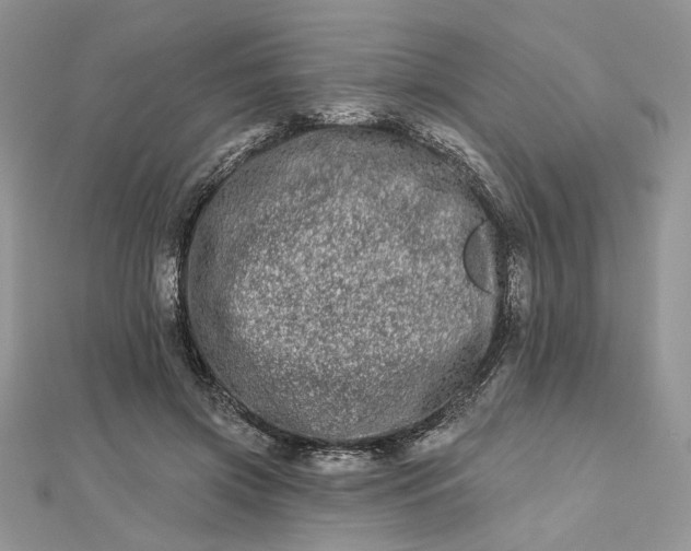 X0000112480549200908311413