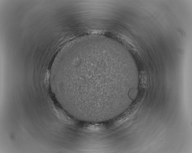 X0000112480550200908311413