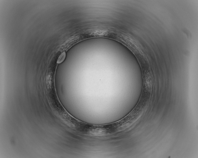 X0000112480551200908311413