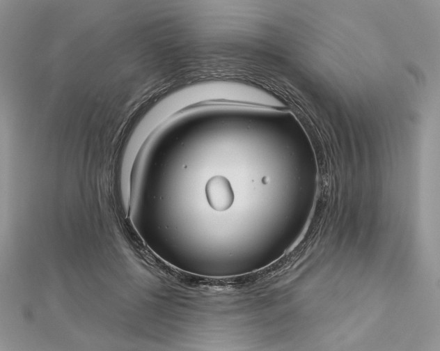 X0000112480552200908311413