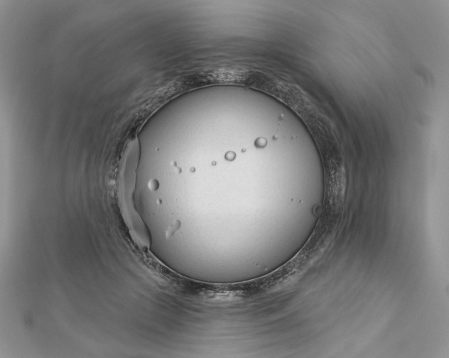 X0000112480553200908311413