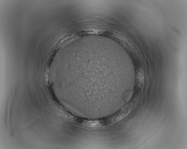 X0000112480554200908311413