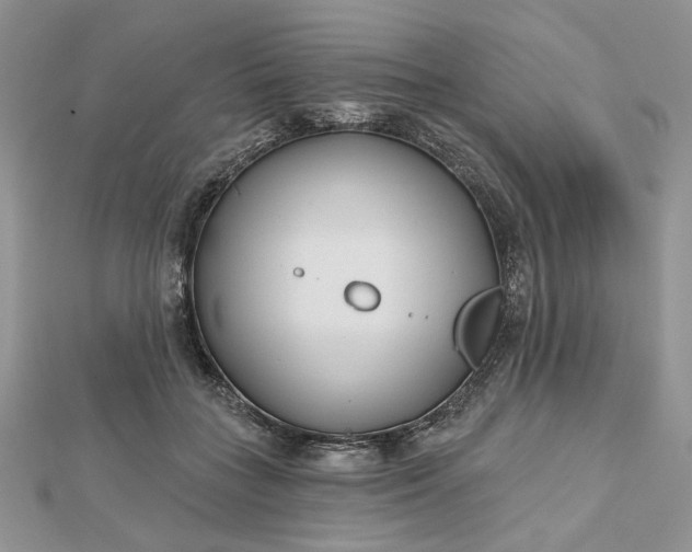 X0000112480555200908311413