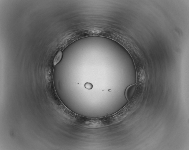 X0000112480559200908311413