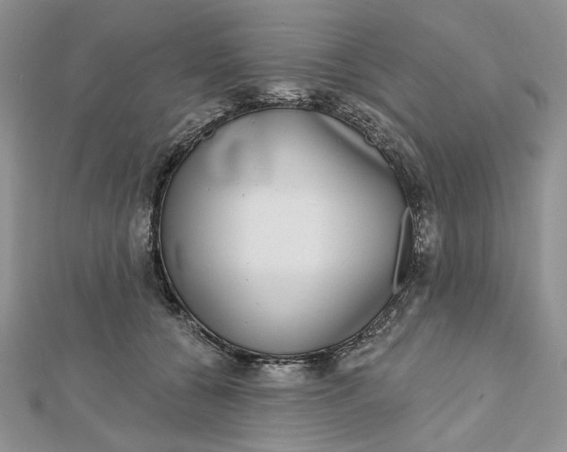 X0000112480560200908311413