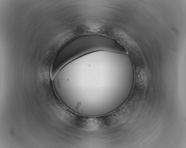 X0000112480562200908311413