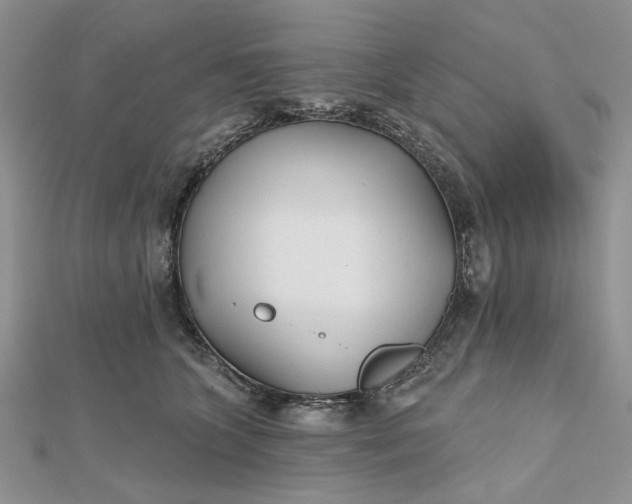 X0000112480563200908311413