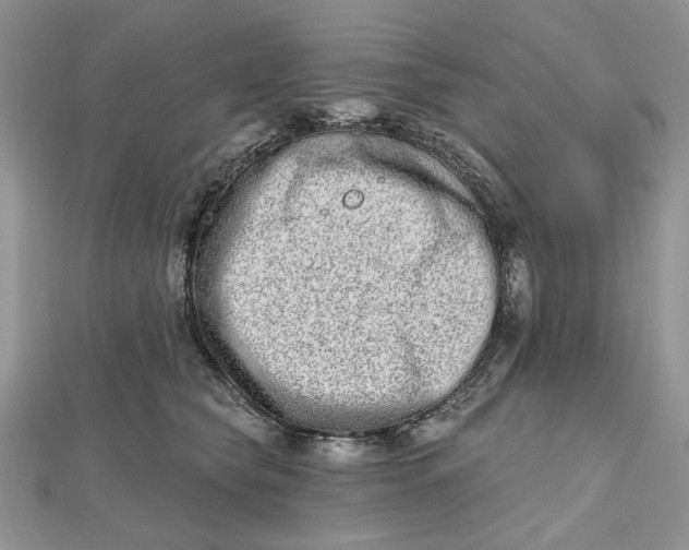 X0000112480565200908311413