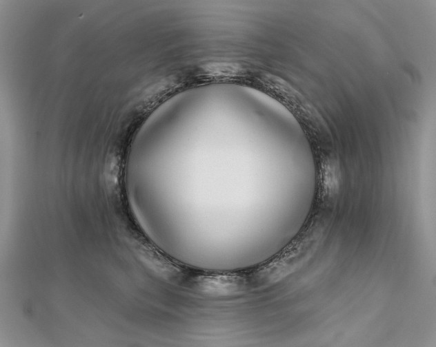 X0000112480567200908311413