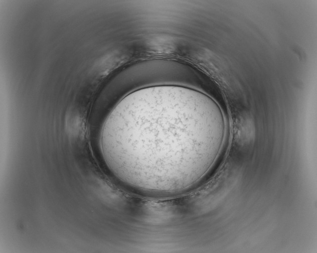 X0000112480568200908311413