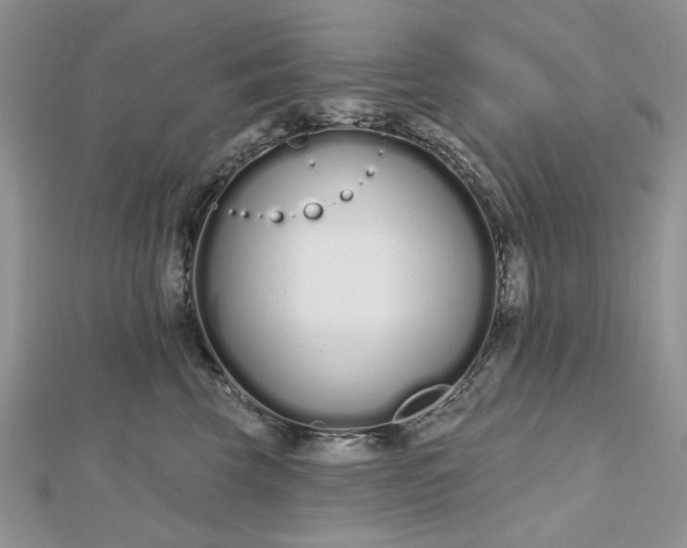 X0000112480569200908311413