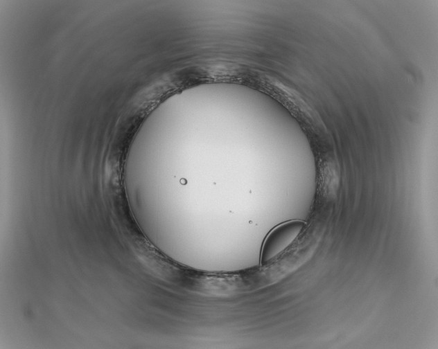 X0000112480571200908311413