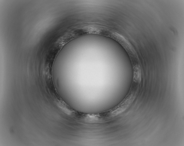 X0000112480573200908311413