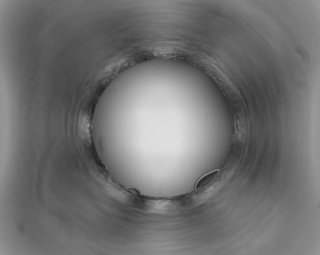 X0000112480575200908311413