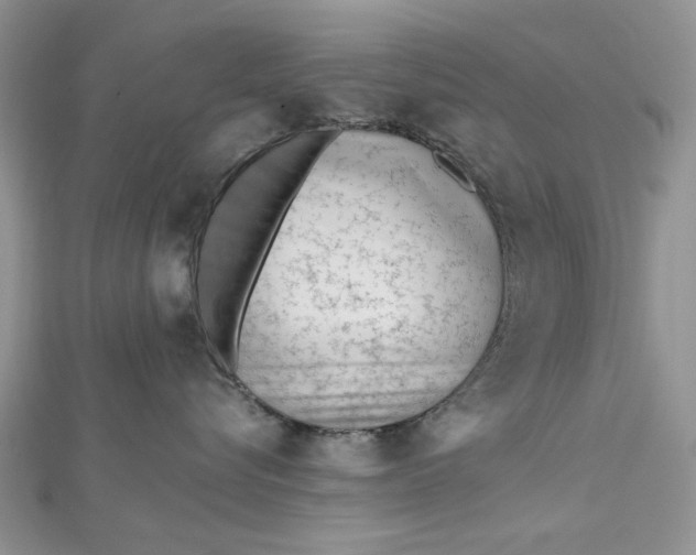 X0000112480576200908311413