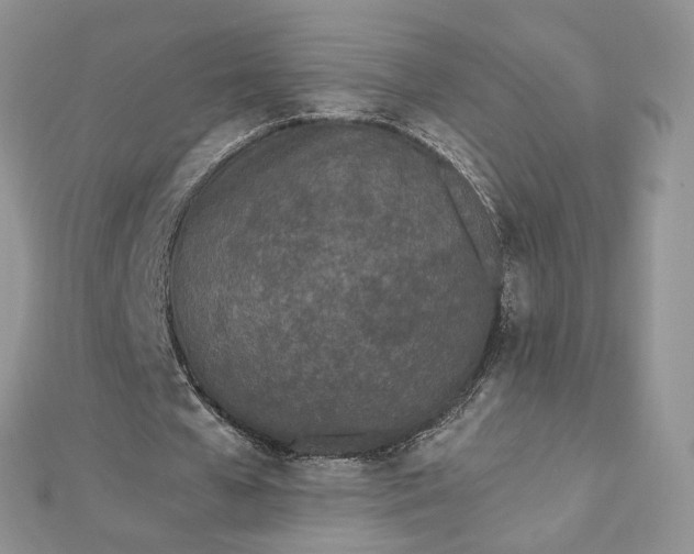 X0000112480577200908311413