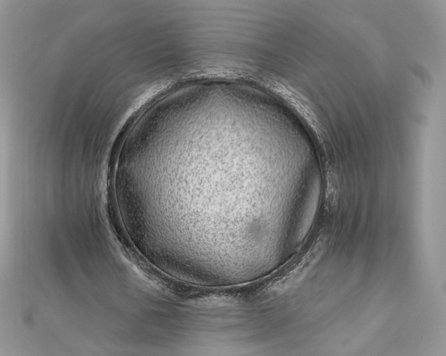 X0000112480578200908311413