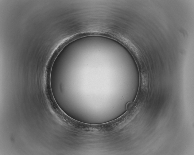 X0000112480580200908311413