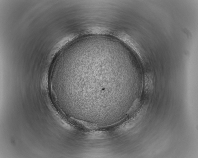 X0000112480581200908311413