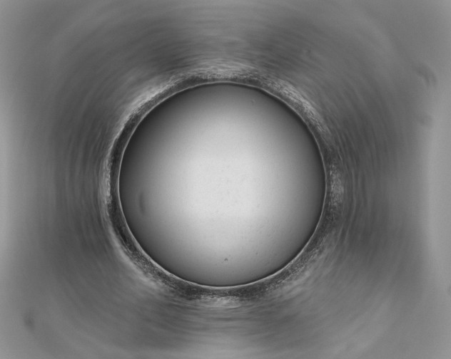 X0000112480582200908311413