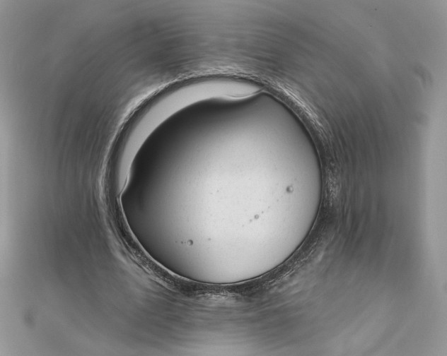 X0000112480583200908311413