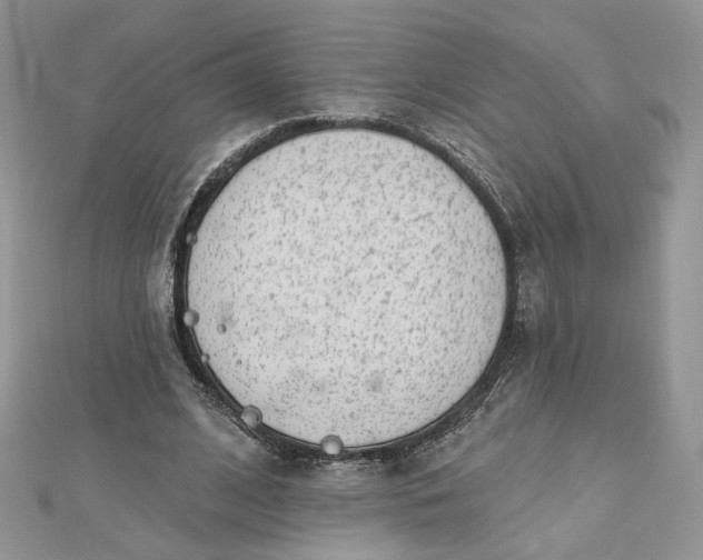 X0000112480584200908311413