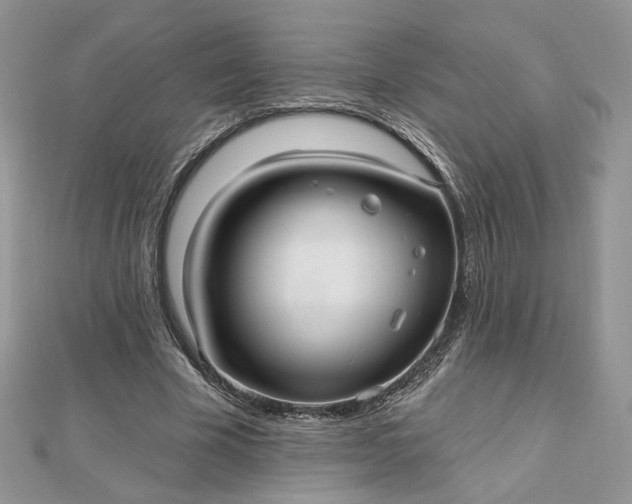 X0000112480585200908311413