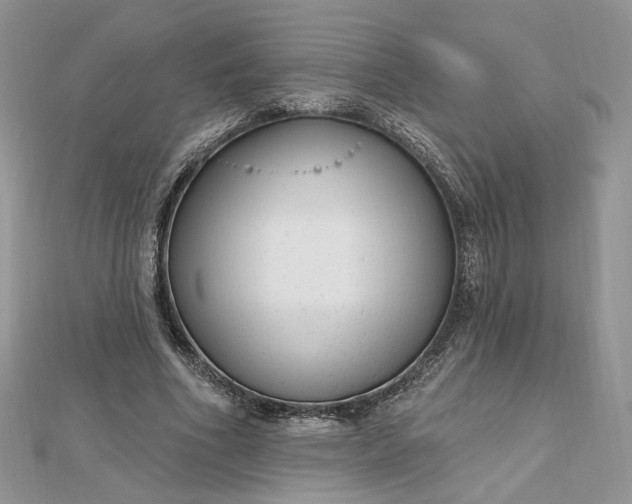 X0000112480586200908311413