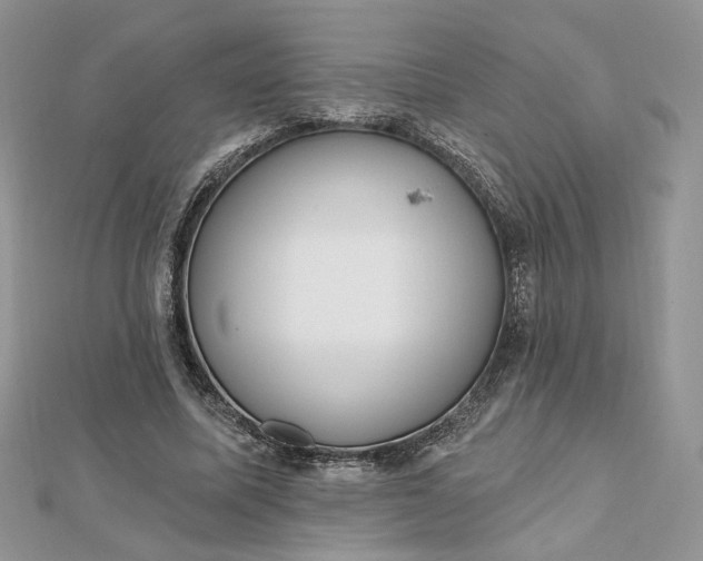 X0000112480587200908311413