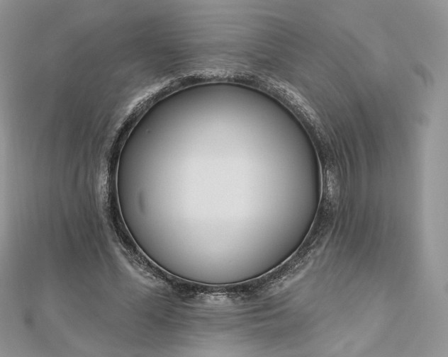 X0000112480588200908311413