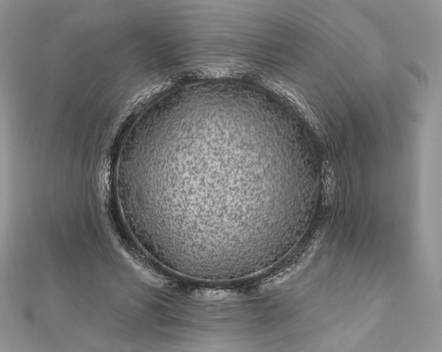 X0000112480590200908311413