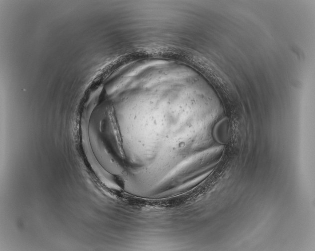 X0000112480592200908311413