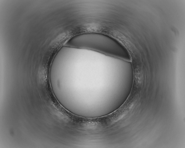 X0000112480593200908311412