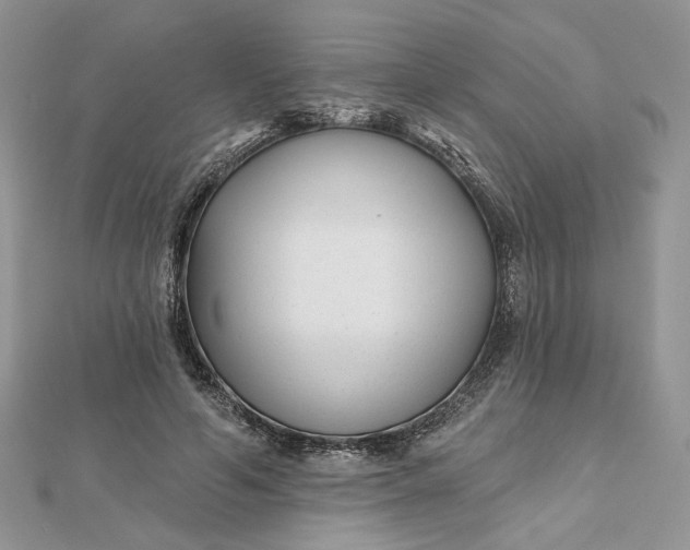 X0000112480594200908311412