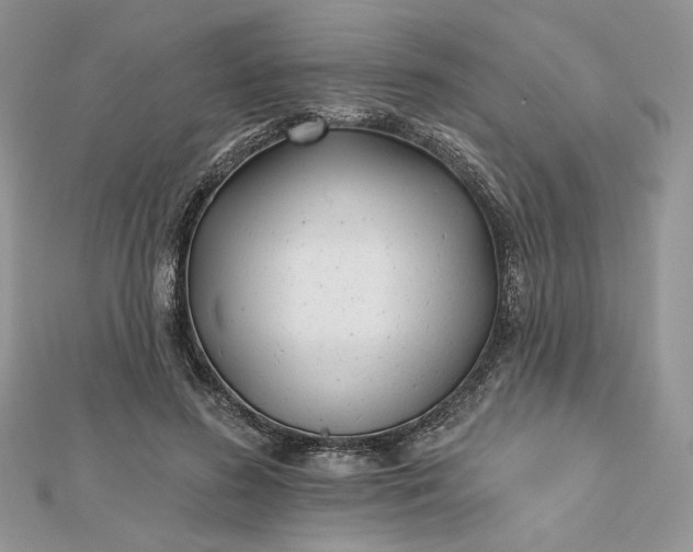 X0000112480596200908311412