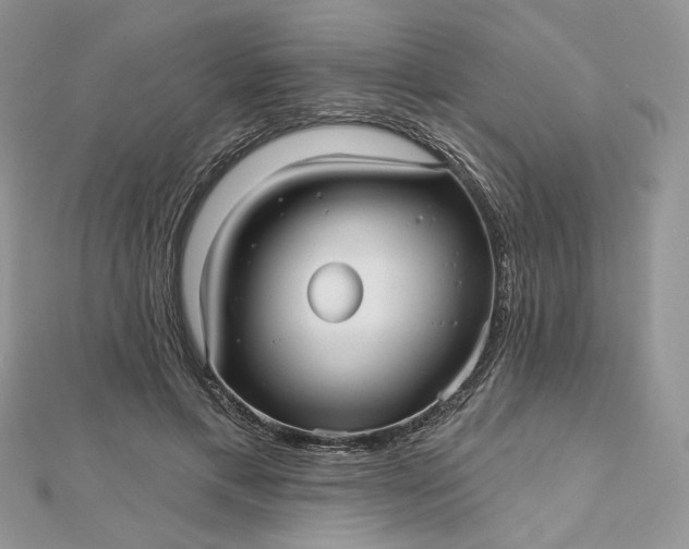 X0000112480597200908311412