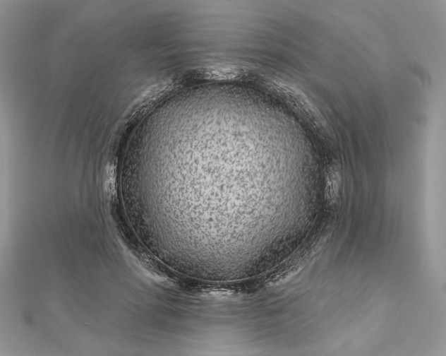 X0000112480598200908311412