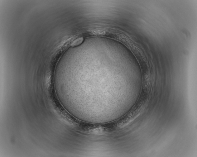 X0000112480600200908311412