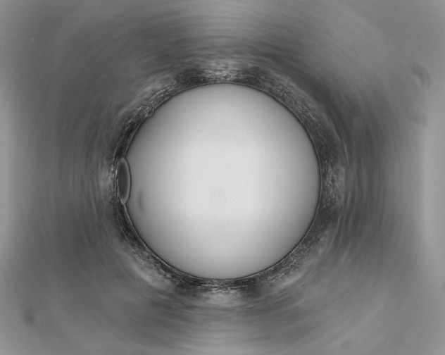 X0000112480601200908311412