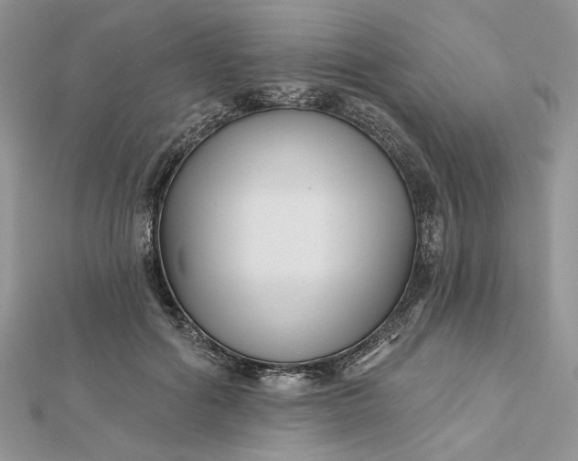 X0000112480602200908311412