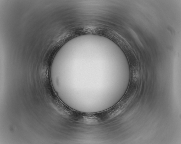 X0000112480603200908311412