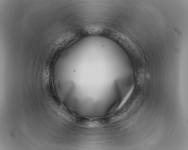 X0000112480604200908311412