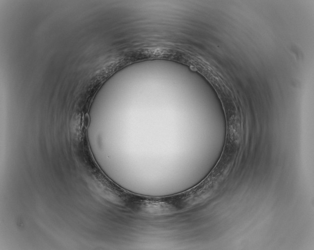 X0000112480605200908311412