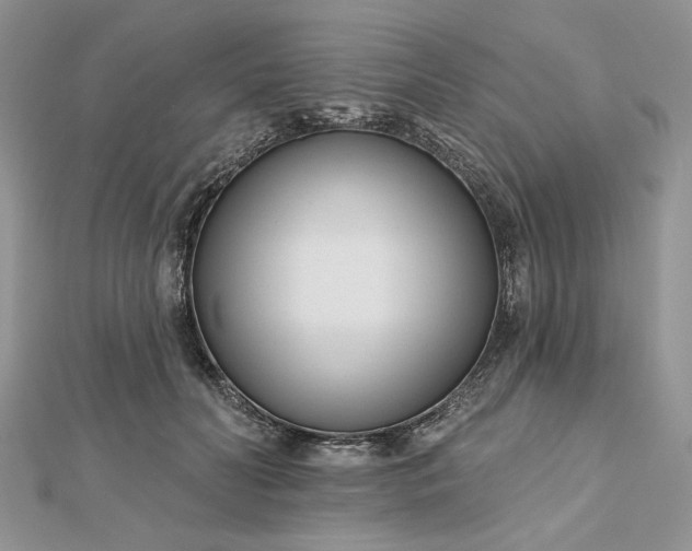 X0000112480606200908311412