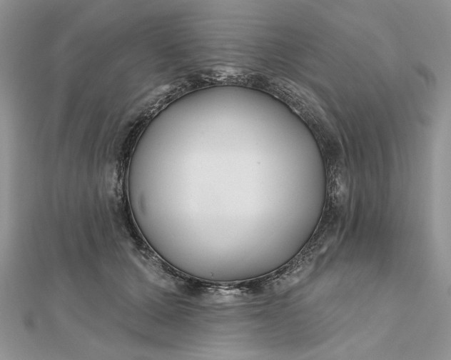 X0000112480607200908311412