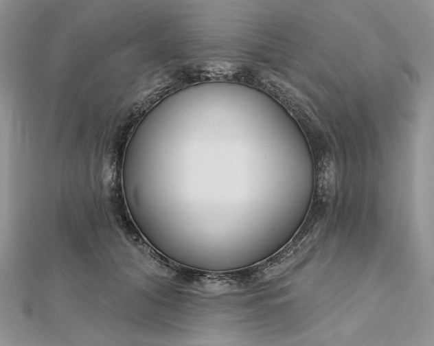 X0000112480608200908311412