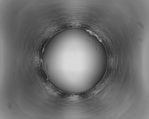 X0000112480609200908311412